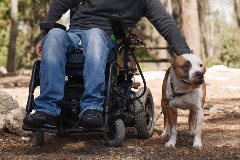 Man in wheelchair electric with his dog