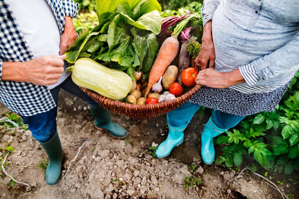 gardening tips for seniors