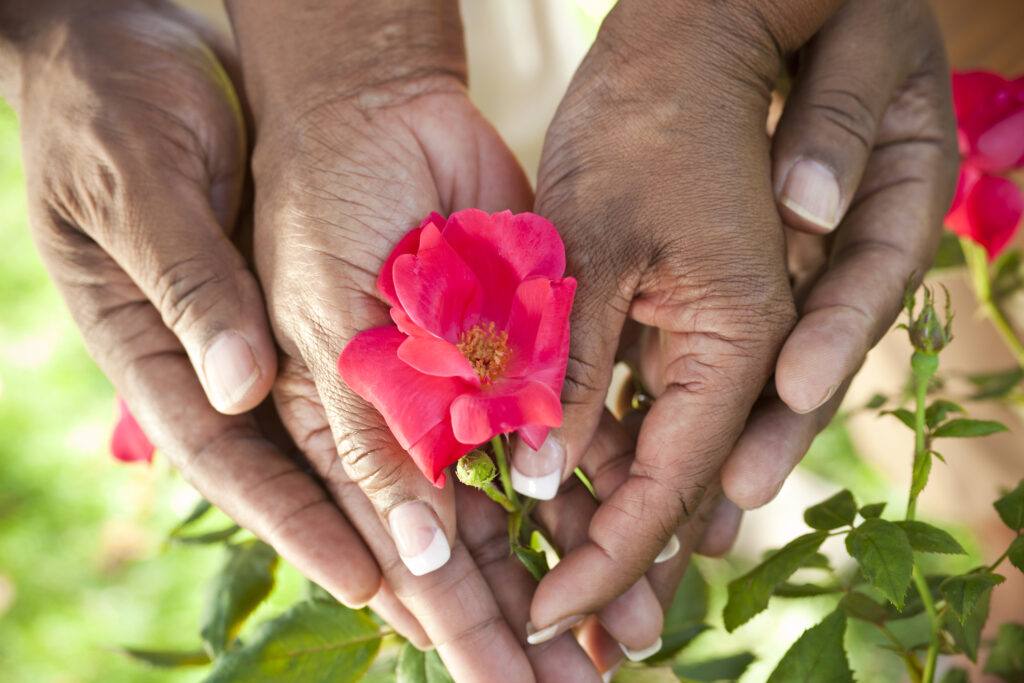 gardening tips for seniors
