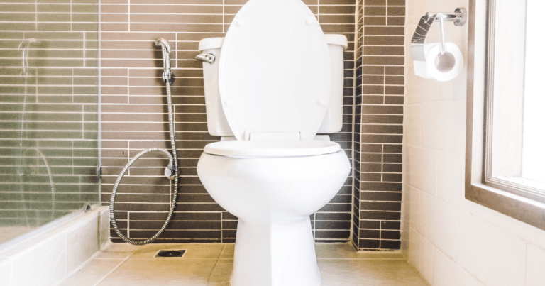 The Best 5 Bath Chairs For Elderly And The Disabled 2023   Untitled Design45 768x403 