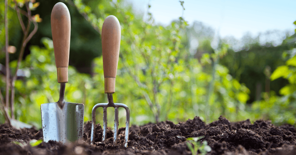 Wheelchair Accessible Gardening 