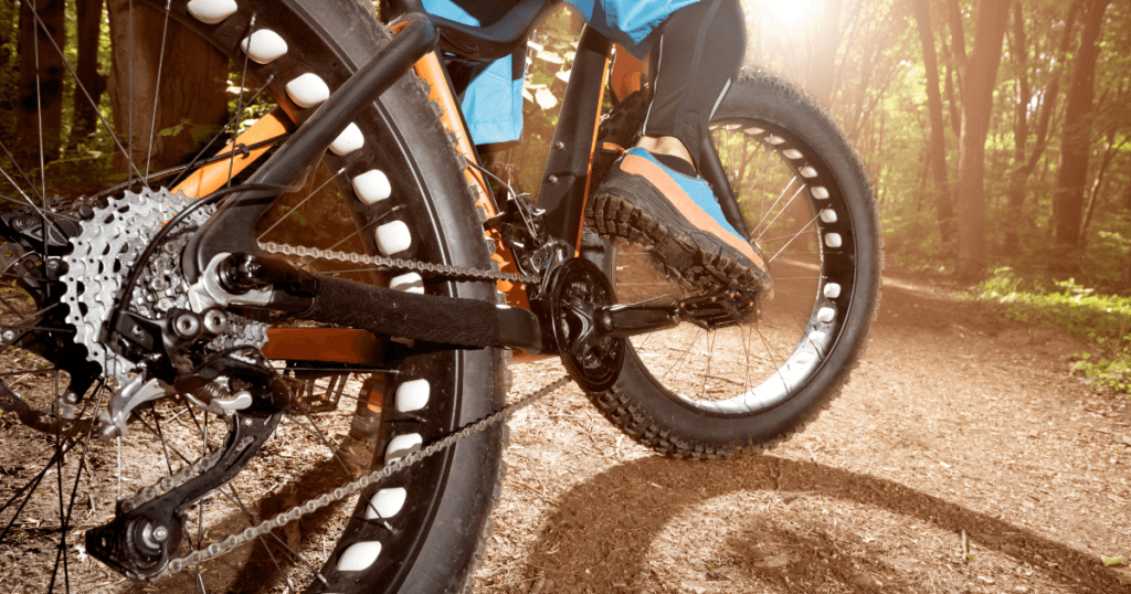 Why fat tire bikes?