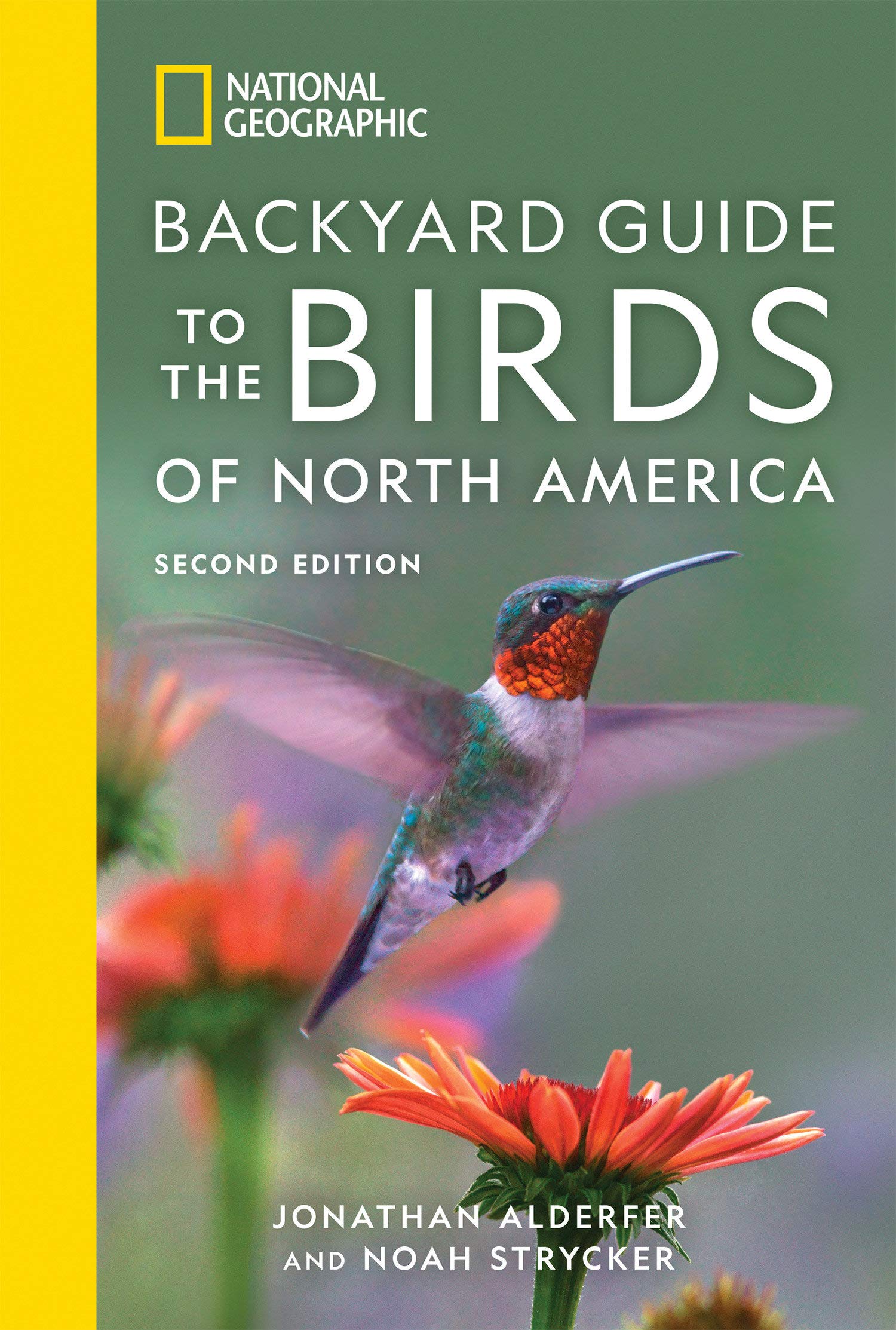 Best Bird Identification Books