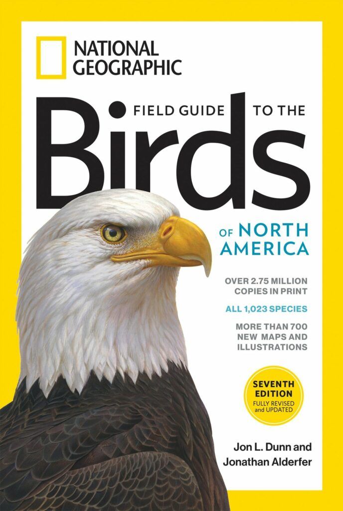 The Best Bird Identification Books Have Fun In Nature 2023