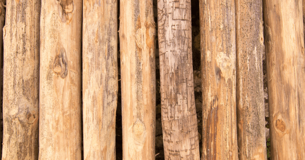 How To Clean Teak Wood