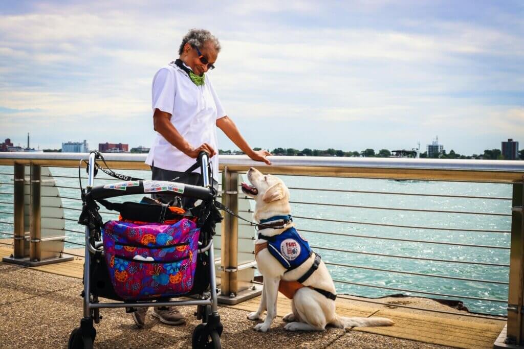 Lady On A Walker With Her Dog Safety First